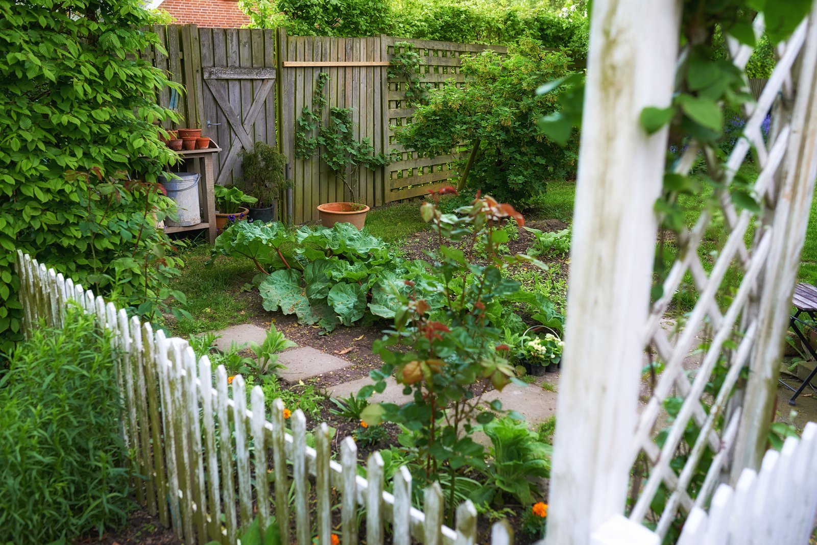 Gartenzaun zwischen zwei Nachbargärten im Sommer
